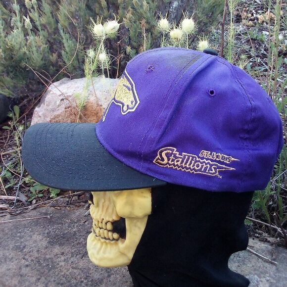 Vintage STARTER St. Louis Stallions Two Tone Snap Back Hat - Picture 2 of 8